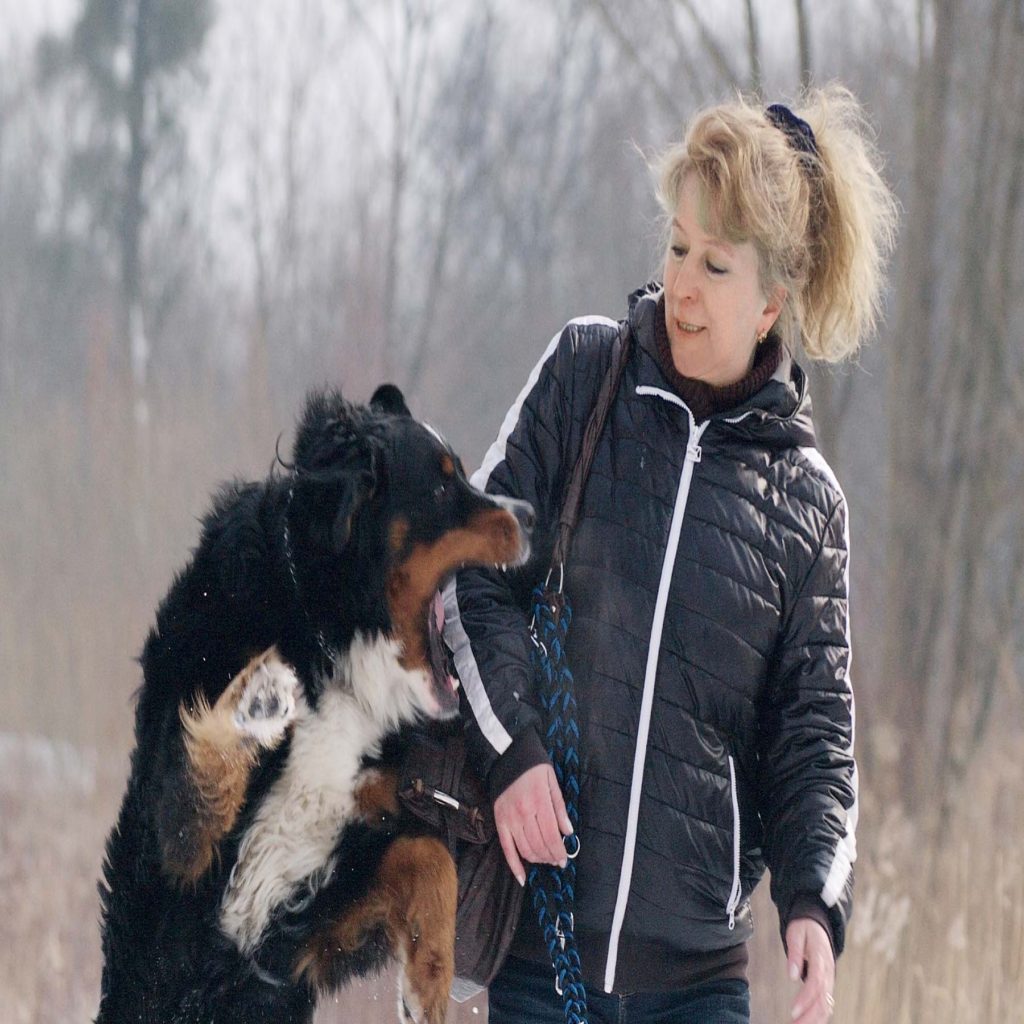 personal injury dog bite