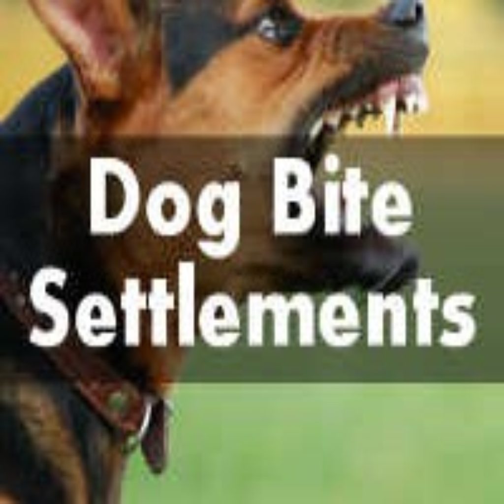 Dog Bite Settlement Amounts | Grand Rapids Dog Bite Attorney – Grand