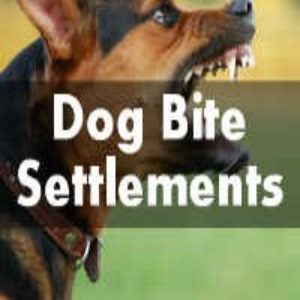 Dog Bite Settlement Amounts | Grand Rapids Dog Bite Attorney – Grand Rapids Dog Bite Attorney